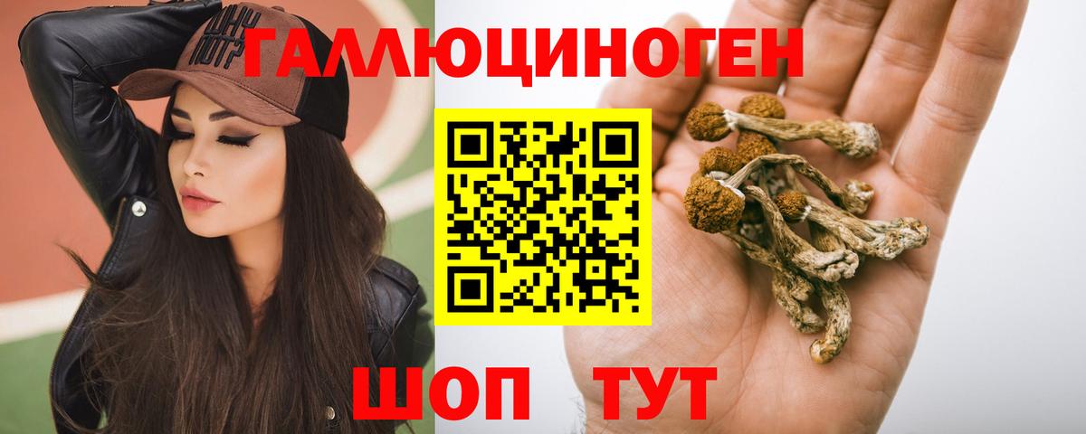 Заинск  Псилоцибиновые грибы ЛСД  Вход с VPN 